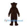 Bear Mascot Costume in Dark Brown with Orange Belly
