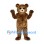 Bear Mascot Costume in Brown with Cream Muzzle