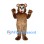 Bear Mascot Costume in Brown with White Cheeks
