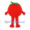 Tomato Mascot Costume in Red with Green Leaves