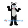 Husky Mascot Costume in Black and White with Blue Eyes
