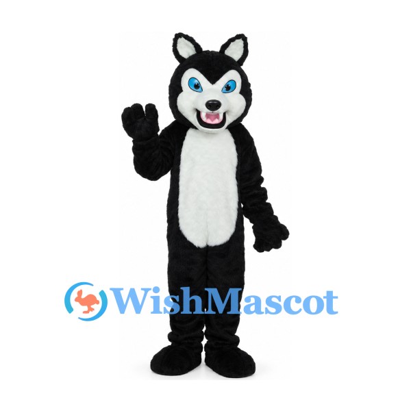 Husky Mascot Costume in Black with White Belly and Tail Tip
