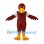 Eagle Mascot Costume in Brown with White Neck Ruff