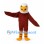 Bald Eagle Mascot Costume with Brown Wings and White Head