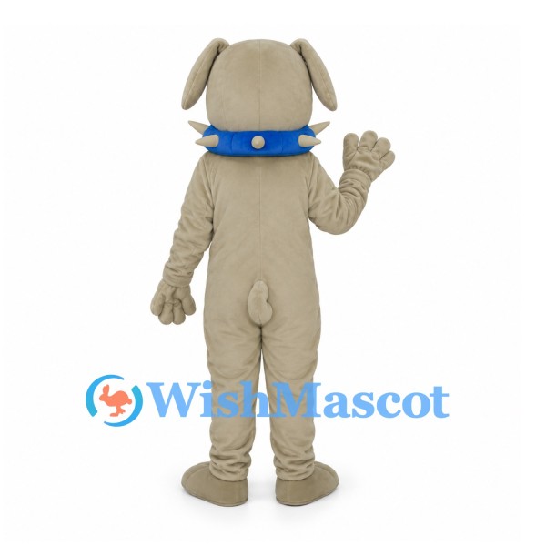 Dog Mascot Costume in Beige with Blue Studded Collar
