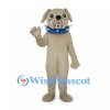 Dog Mascot Costume in Beige with Blue Studded Collar