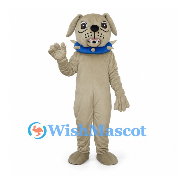 Dog Mascot Costume in Beige with Blue Studded Collar