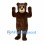 Bear Mascot Costume in Dark Brown with Cream Muzzle