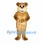 Bear Mascot Costume in Tan with Cream Muzzle