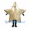 Star Mascot Costume in Metallic Gold with Five Points