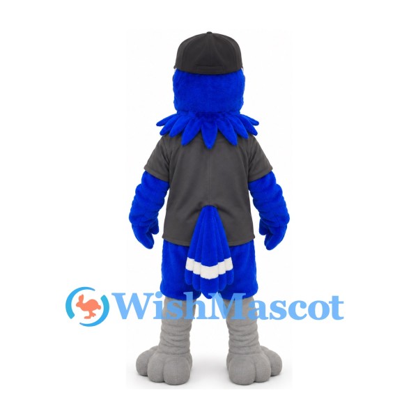 Blue Jay Mascot Costume with Gray Shirt and Black Cap