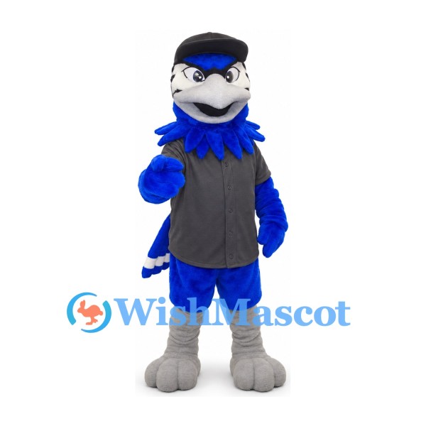 Blue Jay Mascot Costume with Gray Shirt and Black Cap