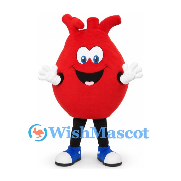 Anatomical Heart Mascot Costume in Red with Smiling Face