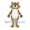 Tiger Mascot Costume with Tan Stripes and White Belly