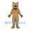 Bear Mascot Costume in Tan with Black Paw Pads