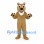 Bear Mascot Costume in Tan with White Chest Patch
