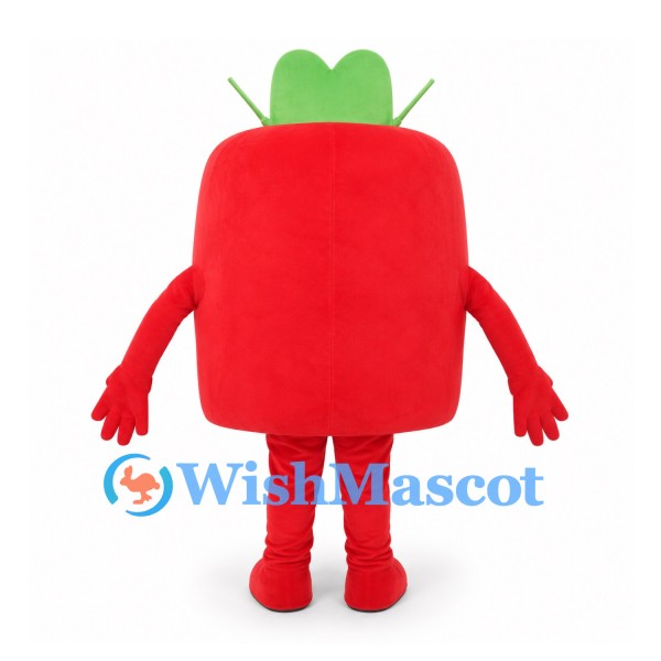 Fruit Mascot Costume in Red with Green Leaf Top