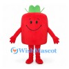 Fruit Mascot Costume in Red with Green Leaf Top