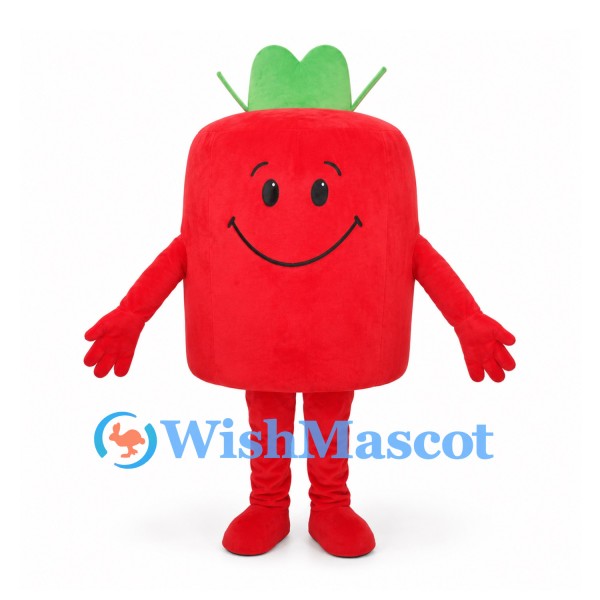 Fruit Mascot Costume in Red with Green Leaf Top