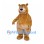 Bear Mascot Costume in Gold with Rounded Belly and Large Muzzle