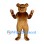 Bear Mascot Costume in Brown with Rounded Muzzle