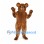Bear Mascot Costume in Brown with Round Ears and Black Nose