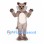 Wolf Mascot Costume in Gray Brown with Cream Belly