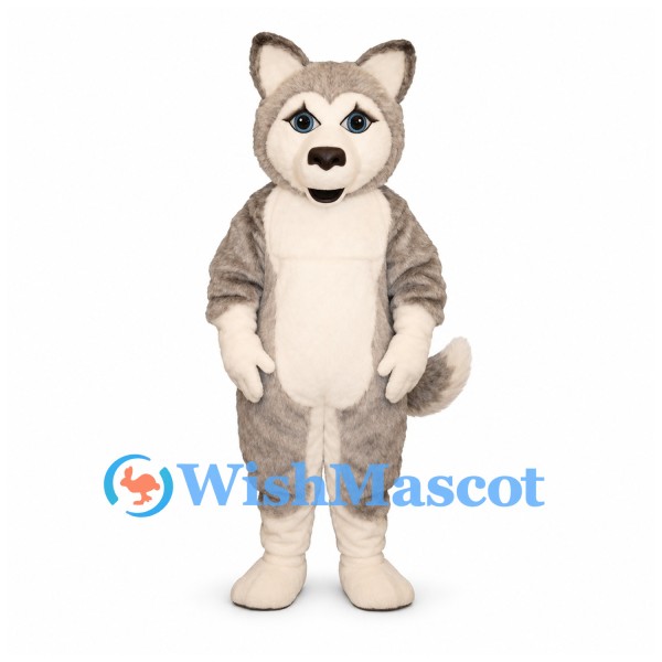 Husky Dog Mascot Costume in Gray with Cream Belly and Curled Tail