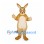 Kangaroo Mascot Costume in Tan with Cream Belly and Rounded Pouch
