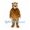 Bear Mascot Costume in Brown with Pale Muzzle and Round Ears