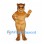 Cat Mascot Costume in Golden Brown with Short Rounded Muzzle