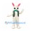 Rabbit Mascot Costume in White with Floral Vest and Green Bow