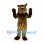 Squirrel Mascot Costume in Brown with Blue Eyes and Curled Tail