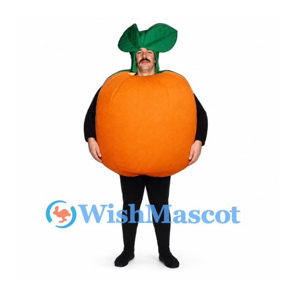 Pumpkin Mascot Costume in Orange with Green Leaf Hat