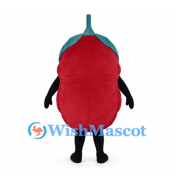 Apple Mascot Costume in Red with Green Leaf and Large Eyes