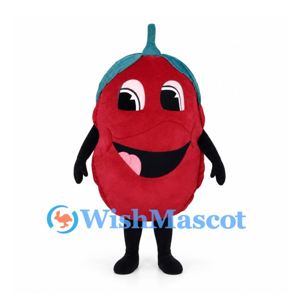 Apple Mascot Costume in Red with Green Leaf and Large Eyes