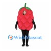 Raspberry Mascot Costume in Red with Layered Berry Segments