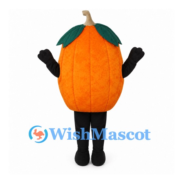 Pumpkin Mascot Costume in Orange with Green Leaf Top
