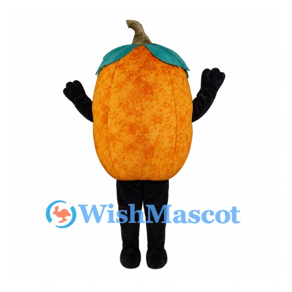 Pumpkin Mascot Costume in Orange with Leaf Top and Large Smile