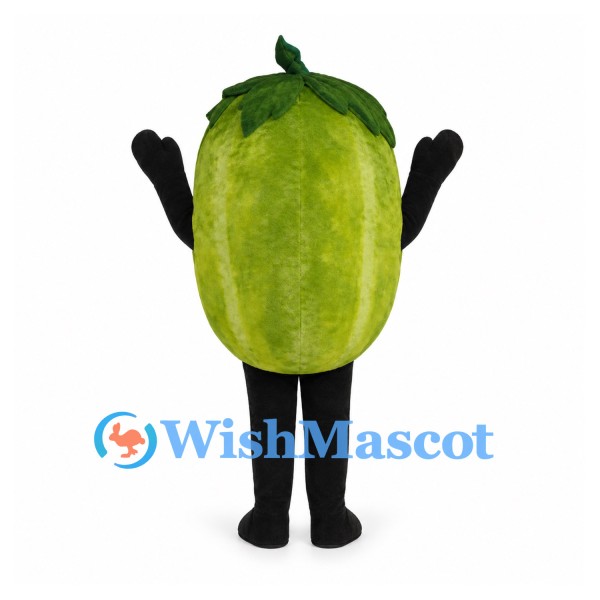 Watermelon Mascot Costume in Green with Striped Rind and Smile