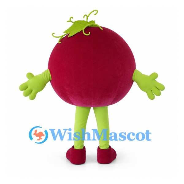 Grape Mascot Costume in Purple with Green Vine and Legs