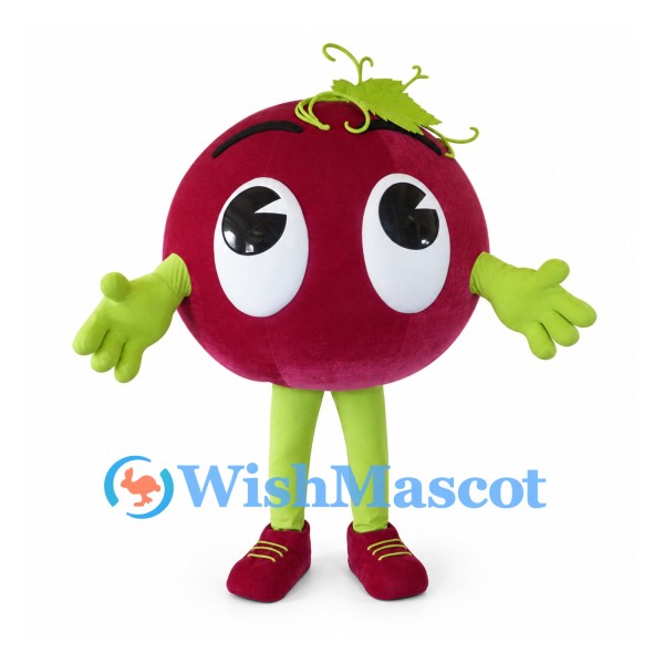 Grape Mascot Costume in Purple with Green Vine and Legs