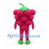 Raspberry Mascot Costume in Magenta with Green Leaf Crown
