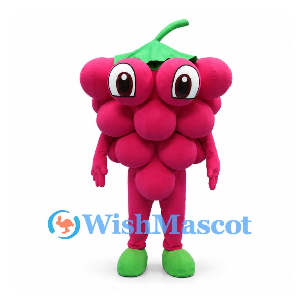 Raspberry Mascot Costume in Magenta with Green Leaf Crown