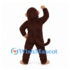 Monkey Mascot Costume in Dark Brown with Beige Face and Tail