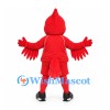 Cardinal Mascot Costume with Red Sports Shirt and Shorts