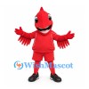 Cardinal Mascot Costume with Red Sports Shirt and Shorts