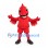 Cardinal Mascot Costume with Red Sports Shirt and Shorts