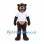 Bear Mascot Costume in Dark Brown with White Shirt