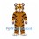 Tiger Mascot Costume in Orange with Black Stripes and White Paws
